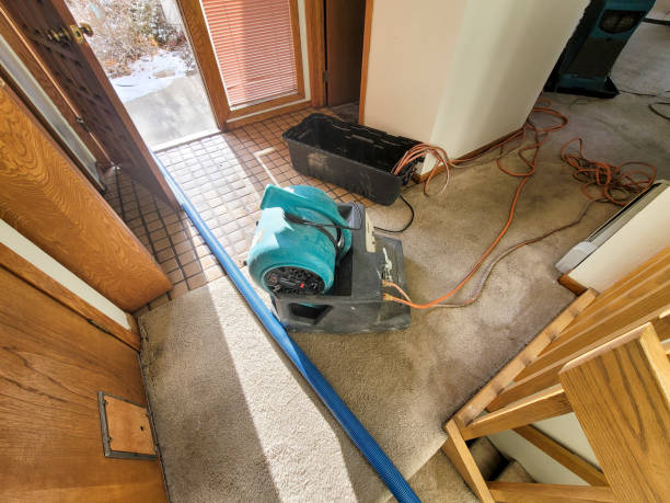 Best Sewage cleanup and water damage restoration  in Tuolumne City, CA