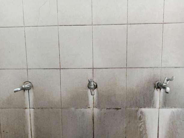 Best Local water damage restoration  in Tuolumne City, CA