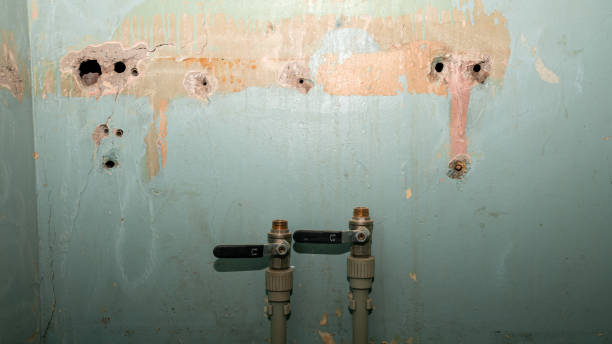 Best Basement water damage restoration  in Tuolumne City, CA
