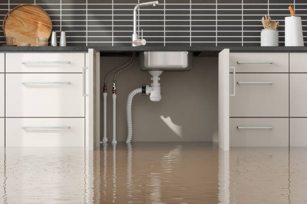 Best Ceiling water damage repair  in Tuolumne City, CA