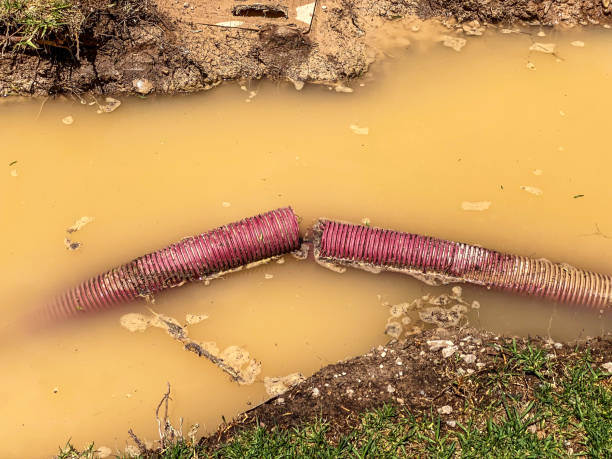Best Water damage cleanup near me  in Tuolumne City, CA